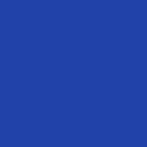 FNQ1 -Vibrant Blue Solid - coordinate for Fantastical Quail collection