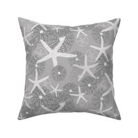 Sea Urchins & Starfish in White & Gray Tones