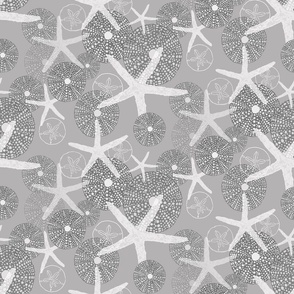 Sea Urchins & Starfish in White & Gray Tones