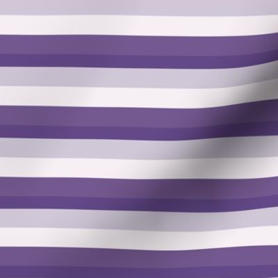 Bold Horizontal Purple Stripe