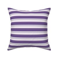 Bold Horizontal Purple Stripe