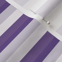 Bold Horizontal Purple Stripe