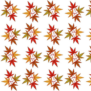 Japanese_Maples