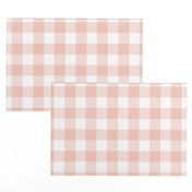 Small Blush Pink Buffalo Check Gingham