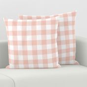 Small Blush Pink Buffalo Check Gingham