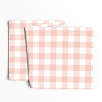 Small Blush Pink Buffalo Check Gingham