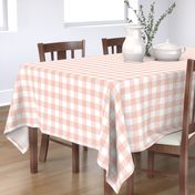 Small Blush Pink Buffalo Check Gingham