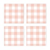 Small Blush Pink Buffalo Check Gingham