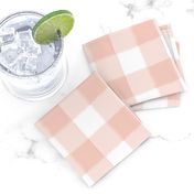 Small Blush Pink Buffalo Check Gingham