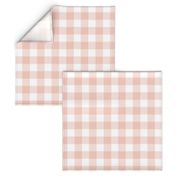 Small Blush Pink Buffalo Check Gingham