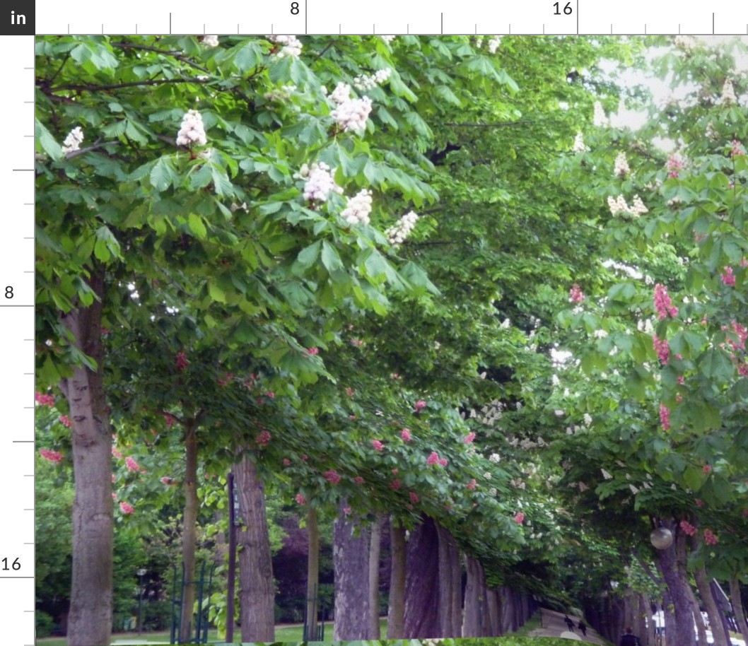 Chestnuts Trees, Paris