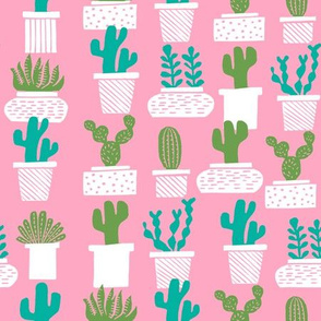 cactus // plant pots pink girls plants succulents terrariums 