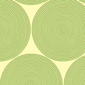 concentric circles in green tea