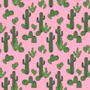 cactus // pink cactus cute cactus plants desert southwest cacti