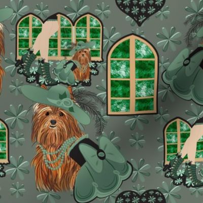 Yorkshire terrier -Yorkie - Tori's Take me to church