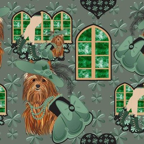 Yorkshire terrier -Yorkie - Tori's Take me to church