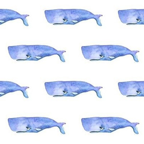 Purple Watercolor Whale 1