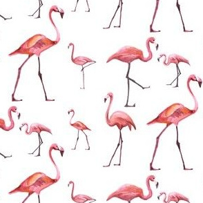 Flamingo Park - White