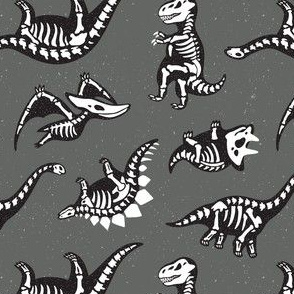 Dinosaur skeletons