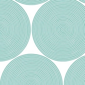 concentric circles - teal on white