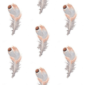 spotted_feather