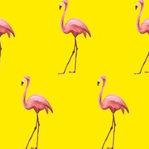 Flamingo Park - Bright Yellow