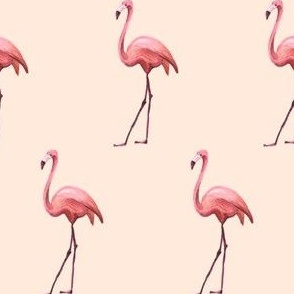 Flamingo Park - Pink