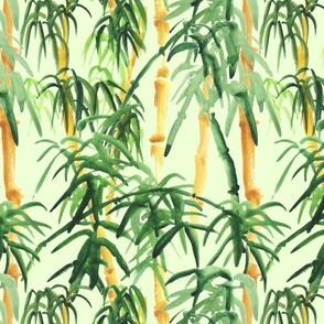 Bamboo