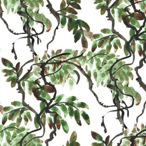 Tree Branches with Green Leaves