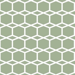 Modern Lattice in Green Grey | 3" Repeat