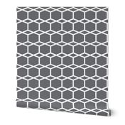 Modern Lattice in Blue Grey | 3" Repeat