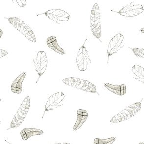 feathers_pattern2