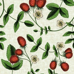Berry Summer // Linen