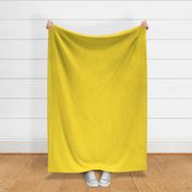 Whimsy Coordinate Solid - Yellow