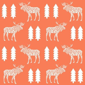 orange moose mooses kids baby tree forest canada kids boys 
