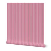 Warm Pink Stripe