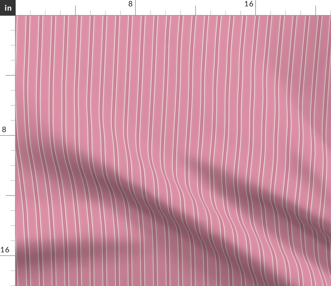 Warm Pink Stripe