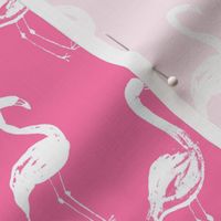 flamingo watercolor painted bird pink summer tropical girls