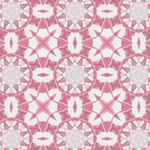 Warm Pink and White Kaleidoscope Flowers