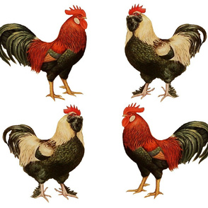 Vintage Roosters