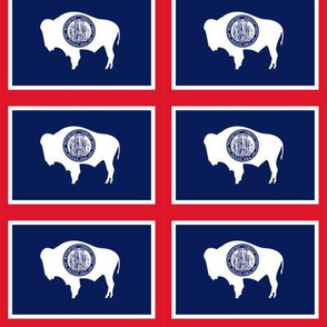Wyoming Flag Small