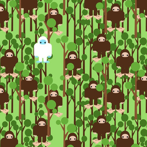 Lost in Bigfoot Forest