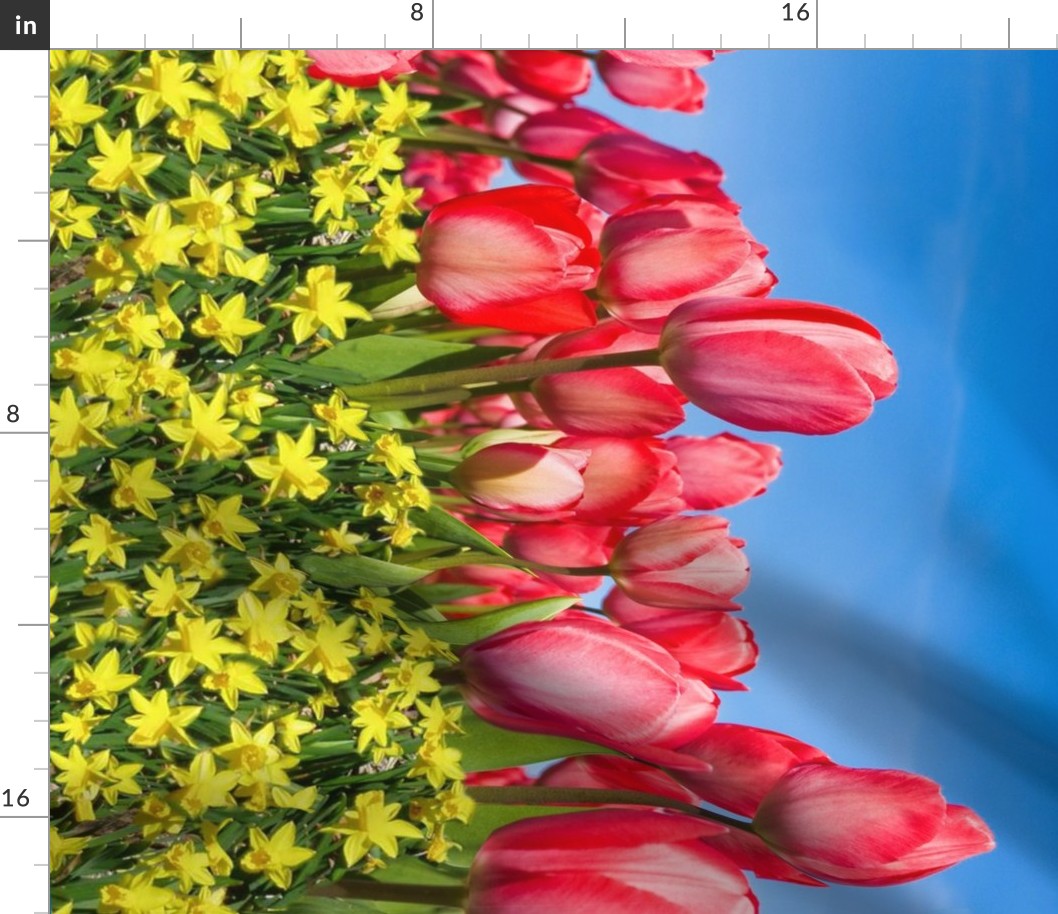 Pink Tulips & Yellow Daffodils Border Print