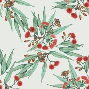 Eucalyptus Red Blossoms, Vintage Green