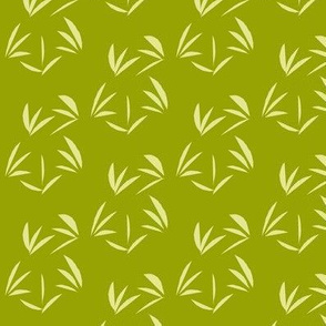 Green Ginger Oriental Tussocks on Kiwifruit - Medium Scale