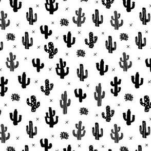 Raw western indian summer cactus garden black and white