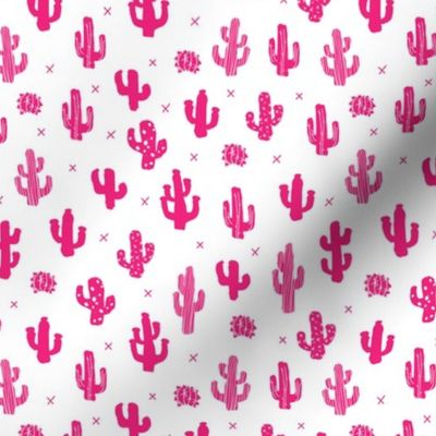 Raw western indian summer cactus garden black and white pink