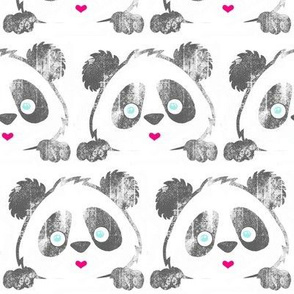 Panda Love Grey Grunge