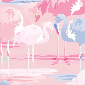 FlamingoReflections