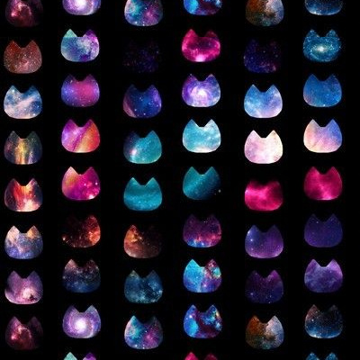 Blue Neon Cat Stock Photo - Download Image Now - Animal, Animal Back, Black  Background - iStock